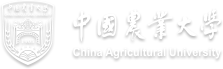正规买球的网站